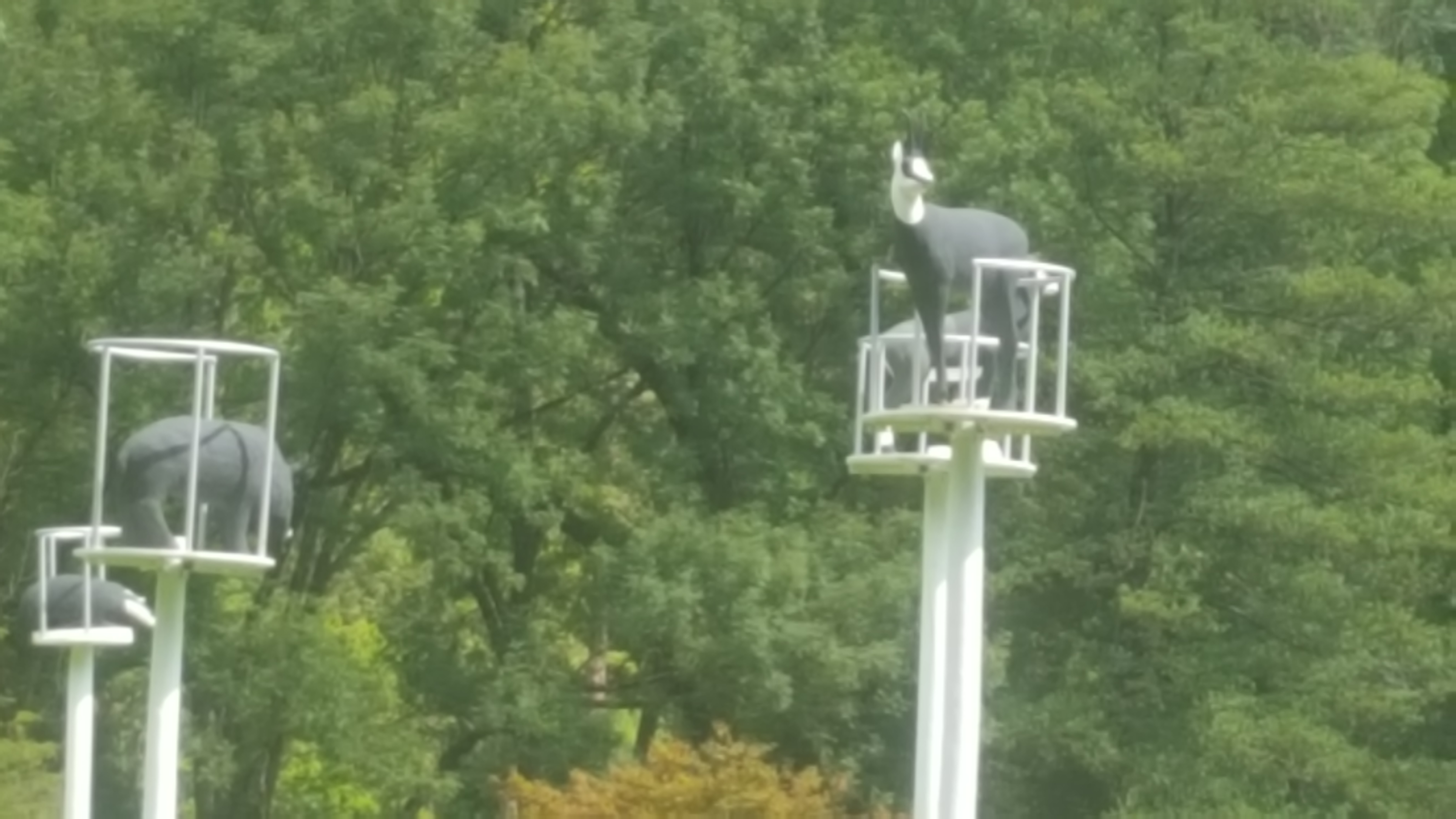 Photo n° 7 de l'avis de marie.e fait le 11/08/2019 à 14:28