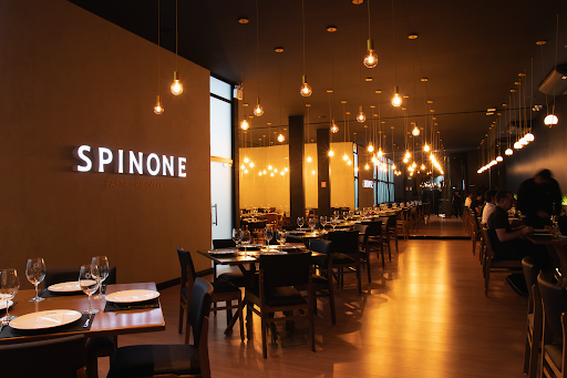 Logo da empresa - Spinone Pasta Originale