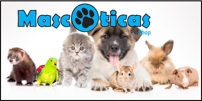Mascoticas Pet Shop Antofagasta - Antofagasta