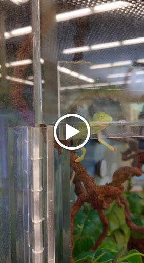 Pet Supply Store «Petco Animal Supplies», reviews and photos, 3000 Gateway St #220, Springfield, OR 97477, USA