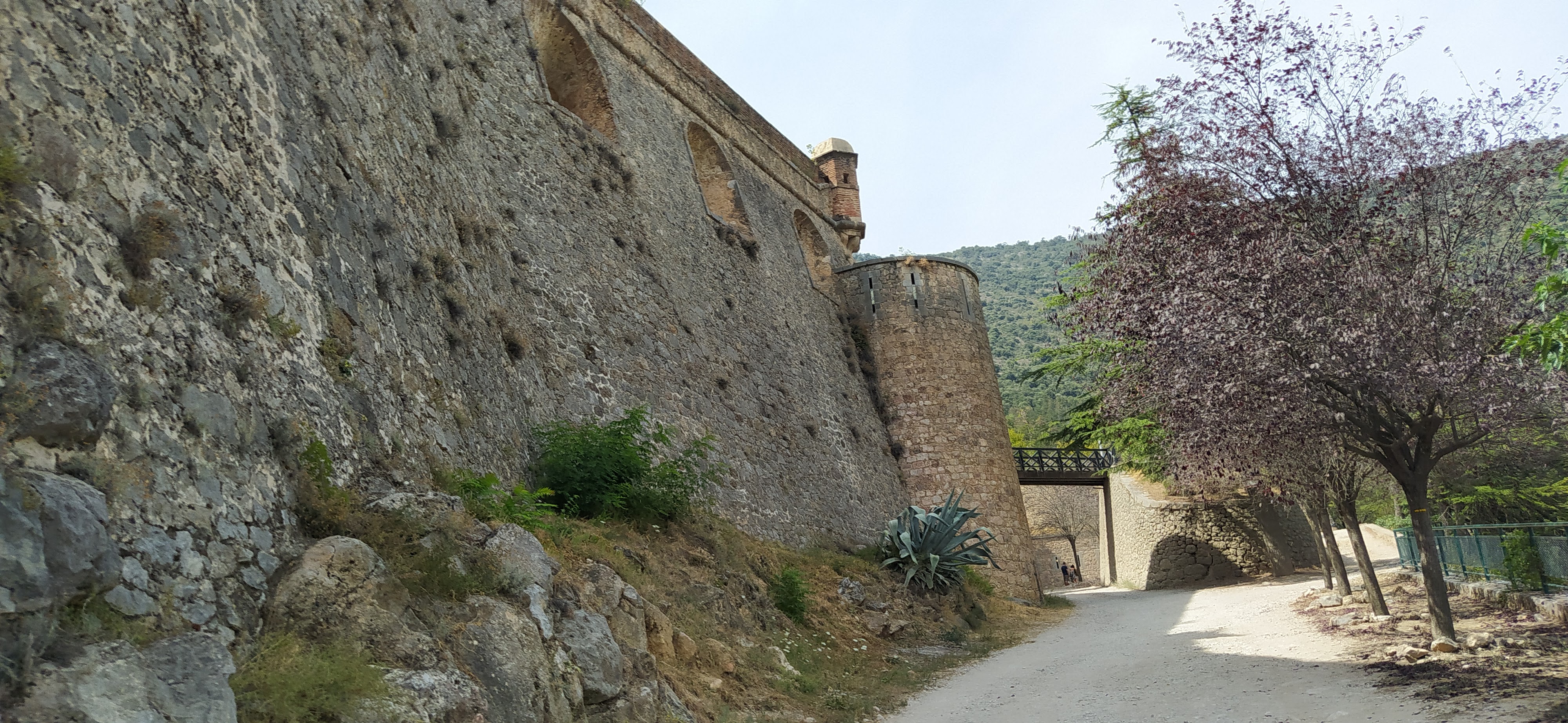 Photo n° 2 de l'avis de Brigitte.A fait le 19/08/2023 à 08:15