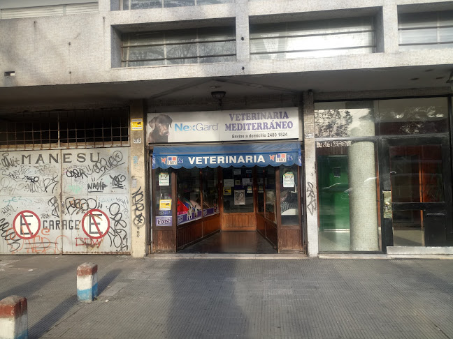 Veterinaria Mediterraneo - Veterinario