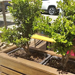 Photo n°1 de l'avis de francesco.a fait le 04/07/2020 à 17:04 sur le  Mercato Silano, Arturo Falcone à Camigliatello Silano