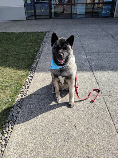Pet Supply Store «Petco Animal Supplies», reviews and photos, 2000 NE Burnside Rd, Gresham, OR 97030, USA