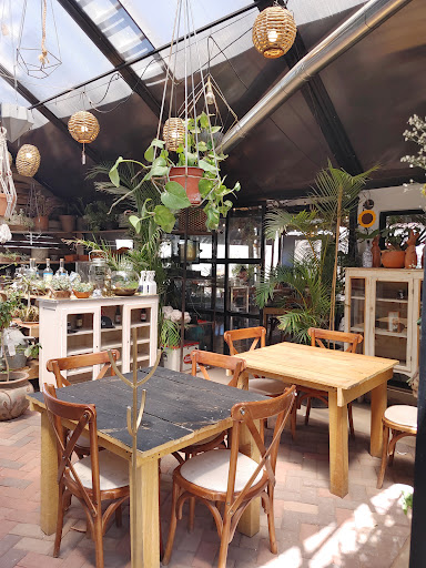AIRE LIEBRE Café - Jardín Culinario - Bar