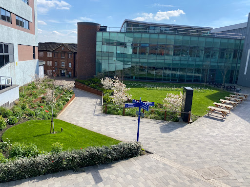 The University of Sheffield