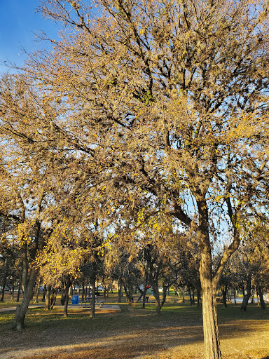 Park «Raymond Rimkus Park», reviews and photos, 6440 Evers Rd, Leon Valley, TX 78238, USA