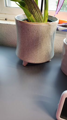 Florist «Island Orchids», reviews and photos, 2204 W Colorado Ave, Colorado Springs, CO 80904, USA