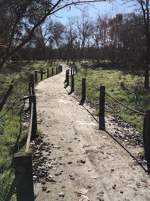 Wildwood Native Park - photo 92