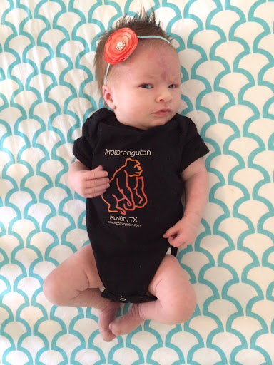 Motorcycle Dealer «Motorangutan», reviews and photos, 3924 Woodbury Dr #A, Austin, TX 78704, USA