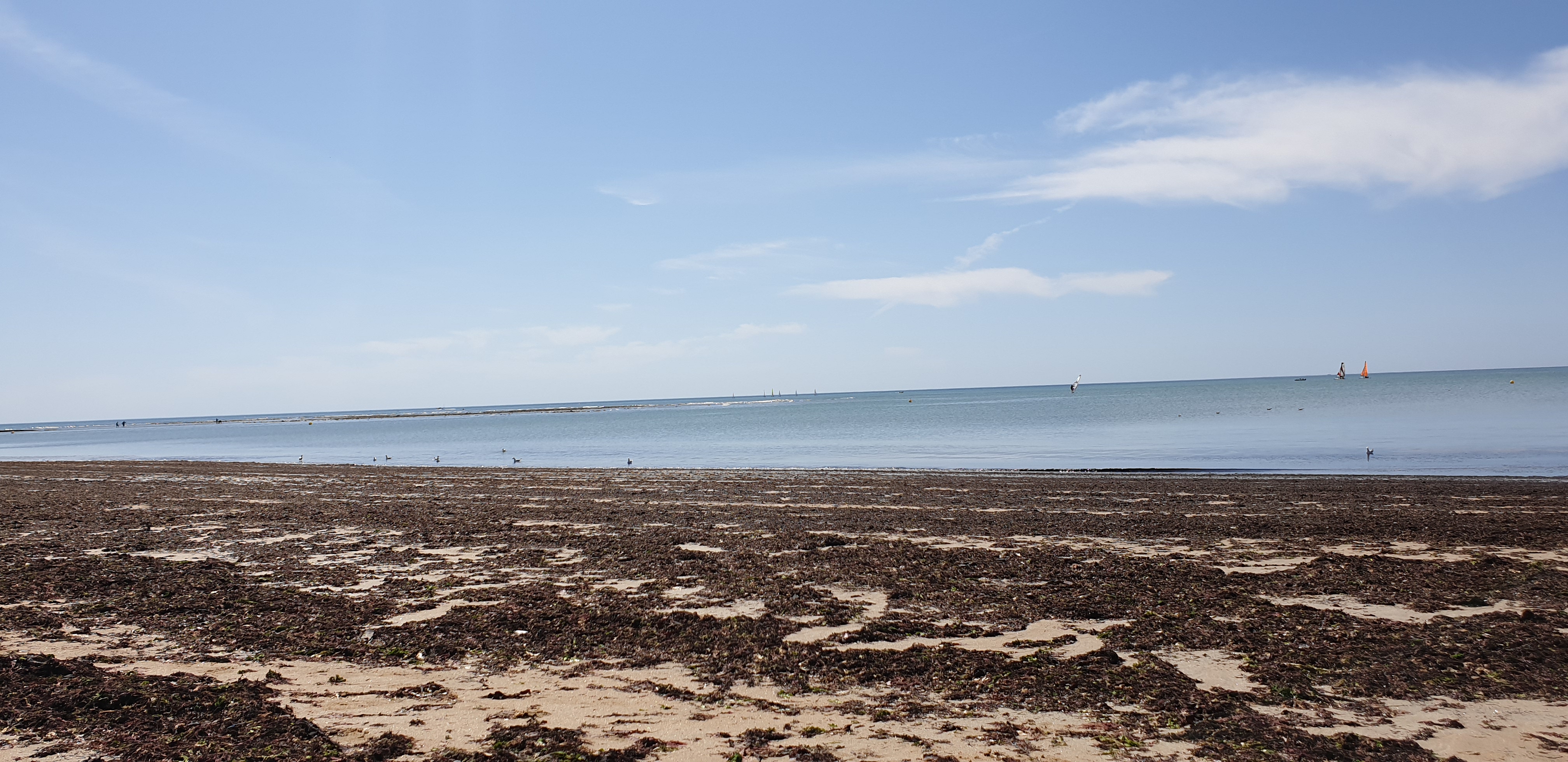 Photo n° 4 de l'avis de Carl. fait le 30/08/2019 à 08:03