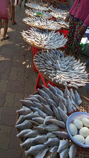 Top 20 cửa hàng play Huyện Cần Giờ Hồ Chí Minh 2022