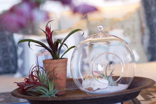 Gift Shop «Dancing Elephant, Inc.», reviews and photos, 2006 San Marco Blvd, Jacksonville, FL 32207, USA