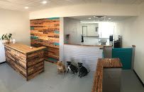 Good Dogs Sit - Photo 3 - Car repair in Queen Creek, AZ, San Tan Valley