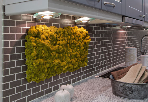 Marble Supplier «Stonica», reviews and photos, 2905 NW 79th Ave, Doral, FL 33122, USA