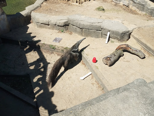 Zoo «John Ball Zoo», reviews and photos, 1300 West Fulton Street, Grand Rapids, MI 49504, USA