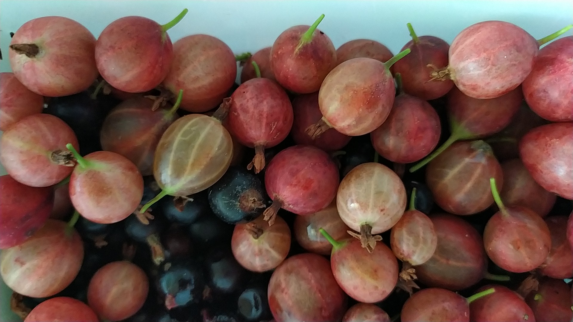 Photo n° 2 de l'avis de Annick.. fait le 28/07/2021 à 16:15