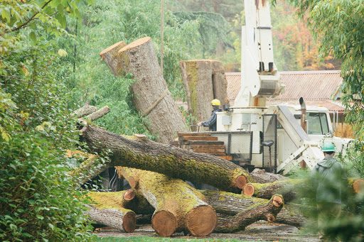 Furniture Store «Urban Hardwoods», reviews and photos, 2101 1st Ave, Seattle, WA 98121, USA