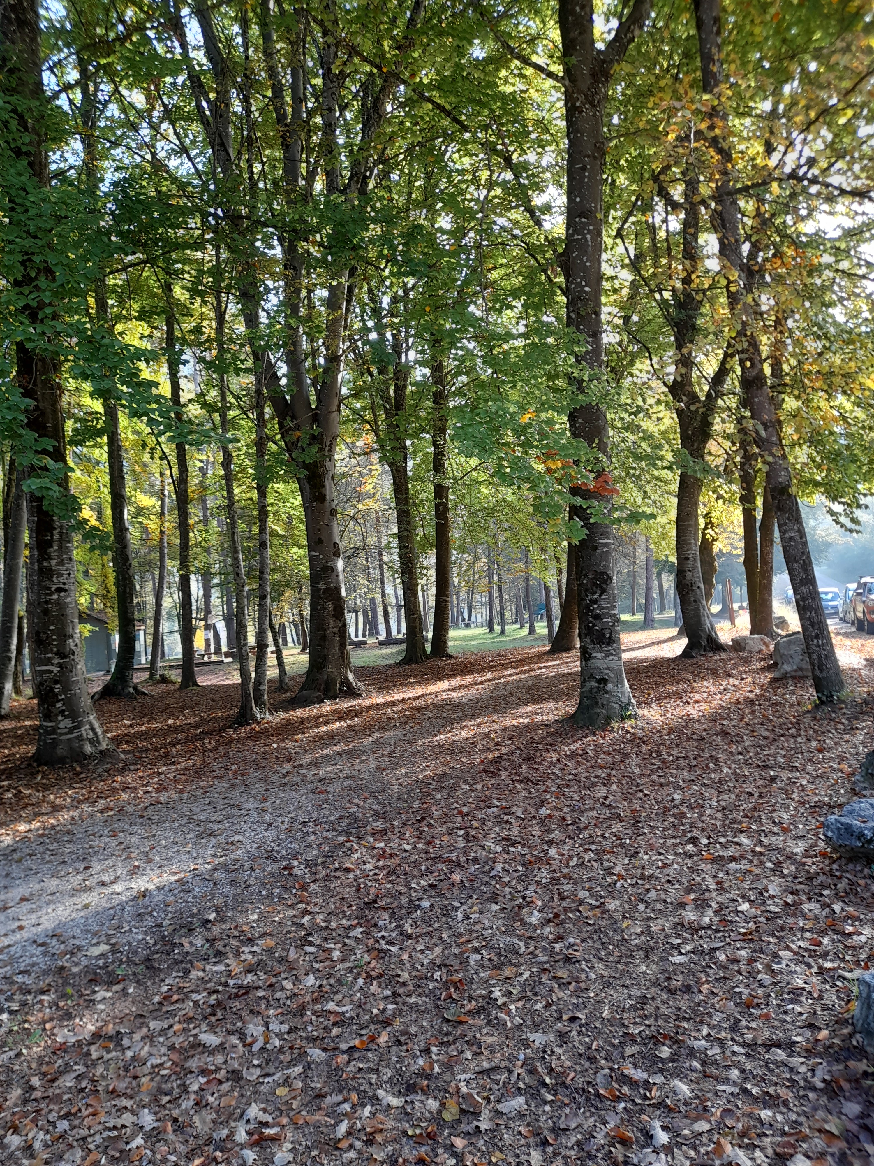 Photo n° 2 de l'avis de christiane.a fait le 20/10/2021 à 18:05