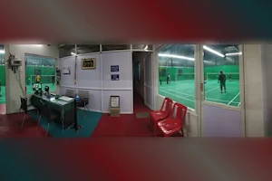 Silver Feathers Badminton And Chess Academy image