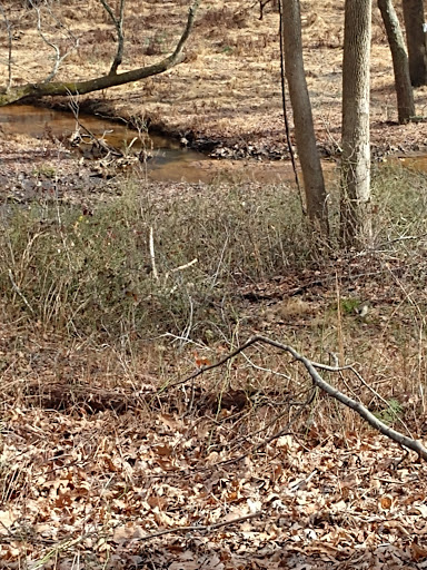 Park «Perrineville Lake Park», reviews and photos, 143 Baird Rd, Millstone, NJ 07726, USA