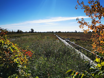 Cooper Marsh Conservation Area