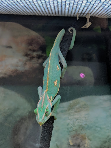 Pet Supply Store «Petco Animal Supplies», reviews and photos, 1574 N Dupont Hwy #300, Dover, DE 19901, USA