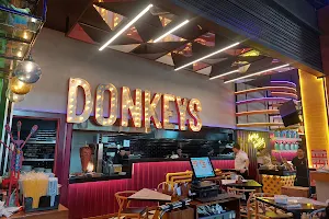 Donkeys Mexicano Fusion image