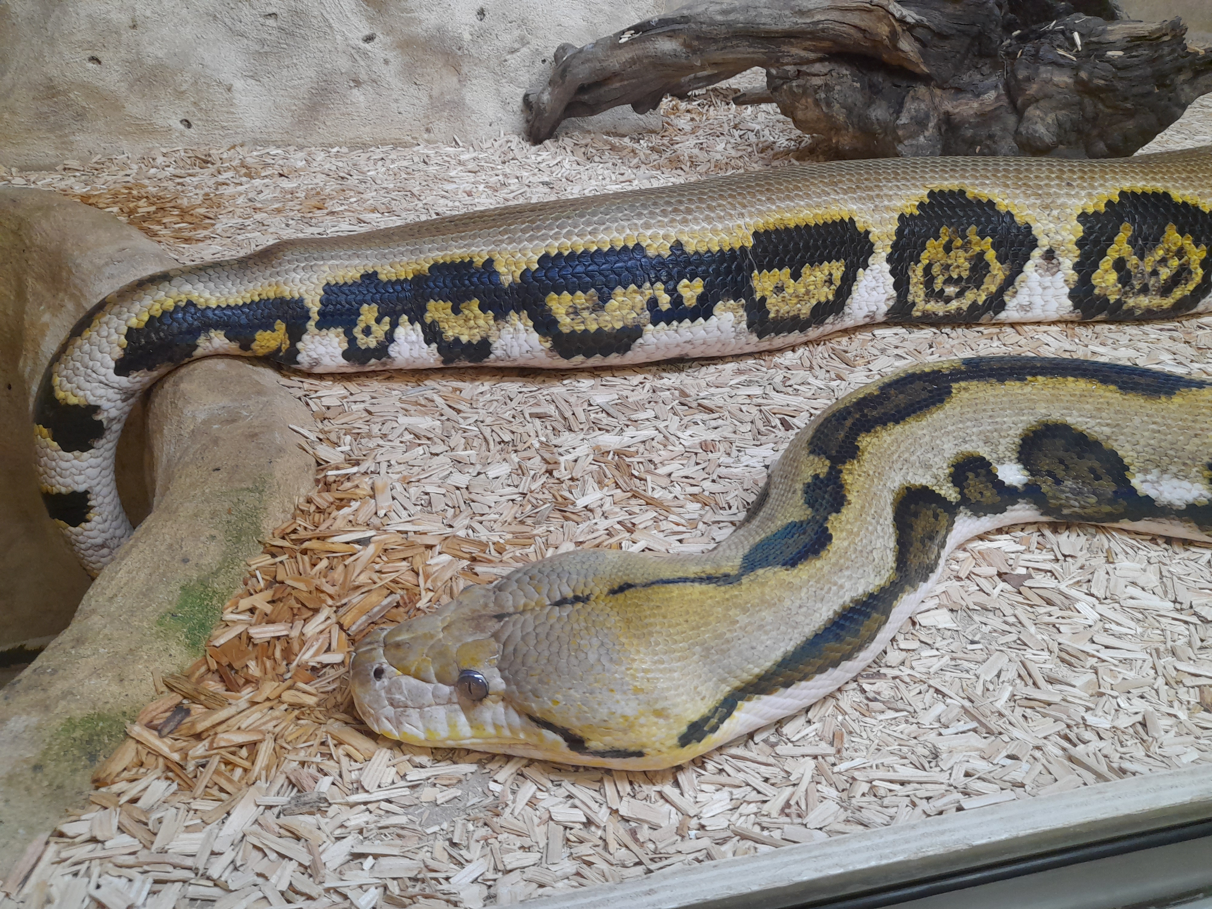 Photo n° 4 de l'avis de Elodie.u fait le 16/08/2023 à 18:37