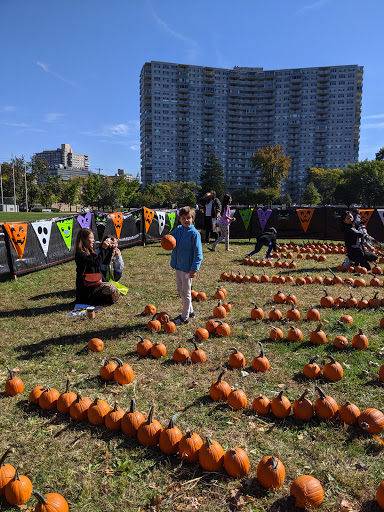 Park «Constitution Park», reviews and photos, Fletcher Ave & Lewis St, Fort Lee, NJ 07024, USA