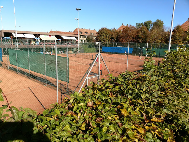 Tennisclub Wander Bern / Köniz - Sportstätte