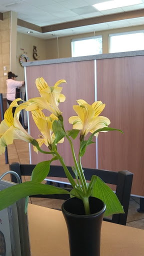 Fast Food Restaurant «Chick-fil-A», reviews and photos, 901 Frederick Blvd, Portsmouth, VA 23707, USA