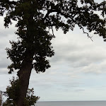 Photo n°1 de l'avis de Angela.i fait le 21/09/2018 à 20:02 sur le  Terrassenkaffee à Heringsdorf