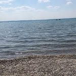 Photo n°8 de l'avis de MAX. fait le 05/04/2023 à 17:43 sur le  Ristorante Lido la Marra à Lazise