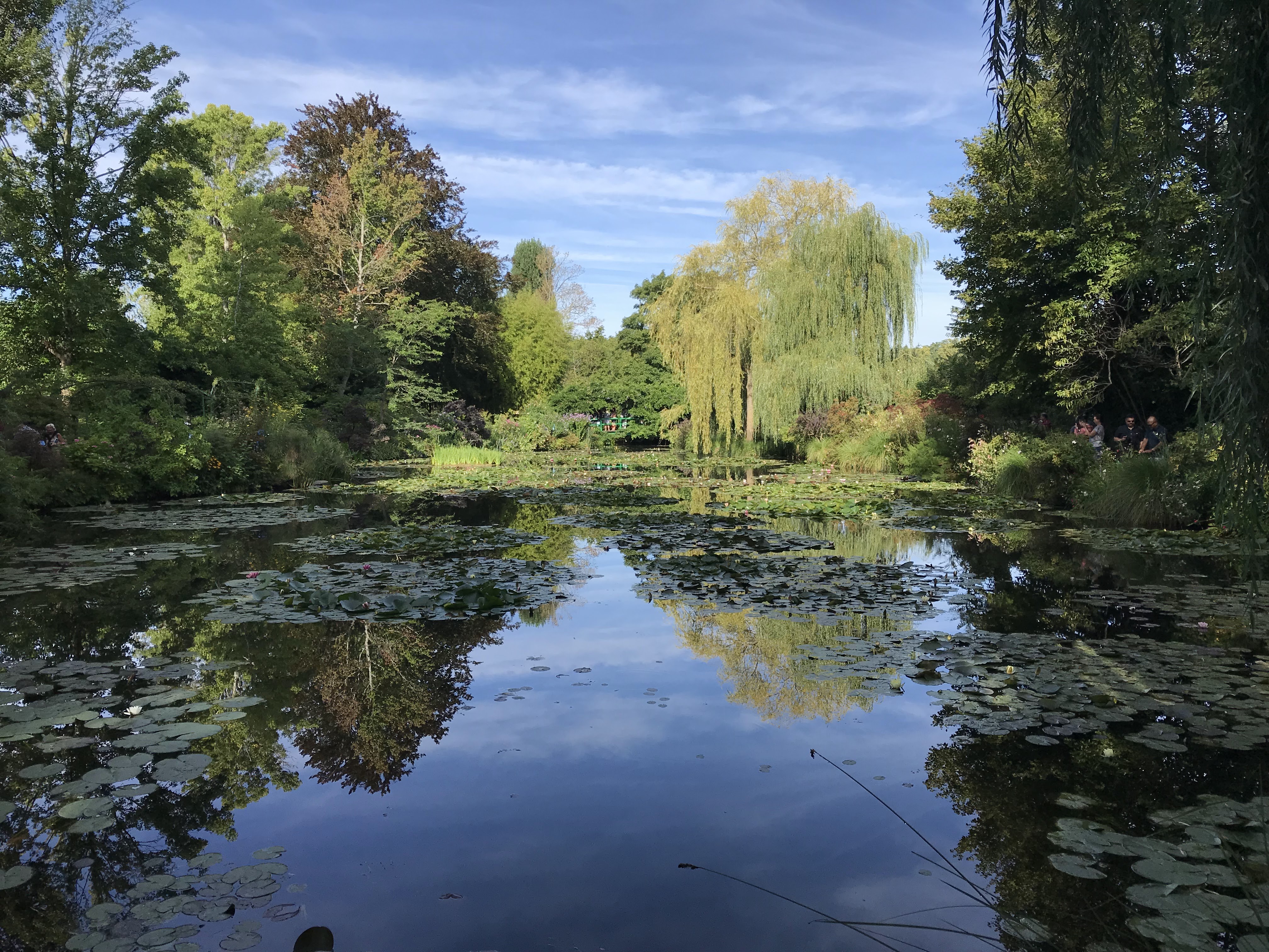 Photo n° 5 de l'avis de Laurie.r fait le 30/08/2019 à 18:14