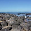 Point Gellibrand Rockpools