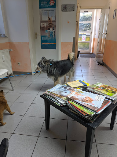 Claudia Gottesbühren unter Gelsenkirchen, 