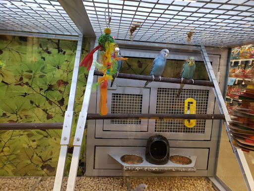 Pet Store «PetSmart», reviews and photos, 1671 S Interstate Hwy 35 #200, New Braunfels, TX 78130, USA