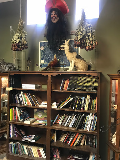 Coffee Shop «The Blind Tiger Cafe - Ybor City - Coffee Shop», reviews and photos, 1901 E 7th Ave, Tampa, FL 33605, USA