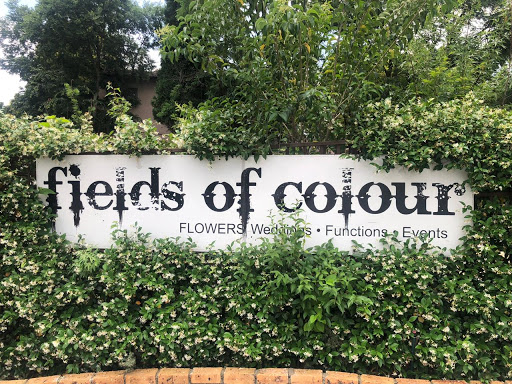 Fields Of Colour