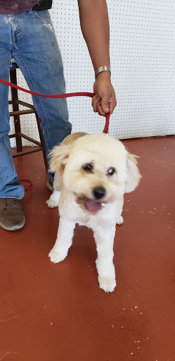 Pet Supply Store «The Dog House», reviews and photos, 4237 S Alameda St, Corpus Christi, TX 78412, USA