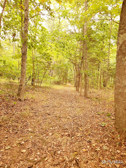 Silver Stream Trail