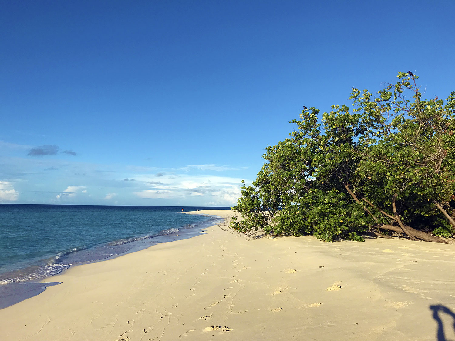 Foto von Velidhoo Beach mit sehr sauber Sauberkeitsgrad