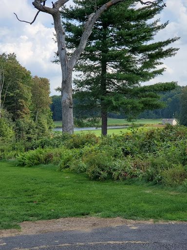 Golf Course «Blue Ridge Trail Golf Club», reviews and photos, 260 Country Club Dr, Mountain Top, PA 18707, USA