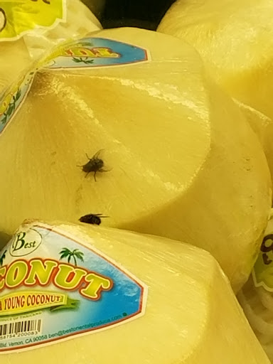 Supermarket «Sunset Super», reviews and photos, 2425 Irving St, San Francisco, CA 94122, USA