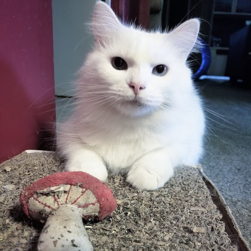 Pet Supply Store «Pet Supplies Plus», reviews and photos, 4923 Sheridan St, Hollywood, FL 33021, USA