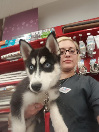 Pet Supply Store «Petco Animal Supplies», reviews and photos, 848 N Colony Rd c, Wallingford, CT 06492, USA