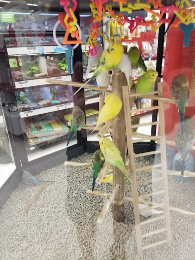 Pet Supply Store «Petco Animal Supplies», reviews and photos, 1624 Governors Square Blvd, Tallahassee, FL 32301, USA