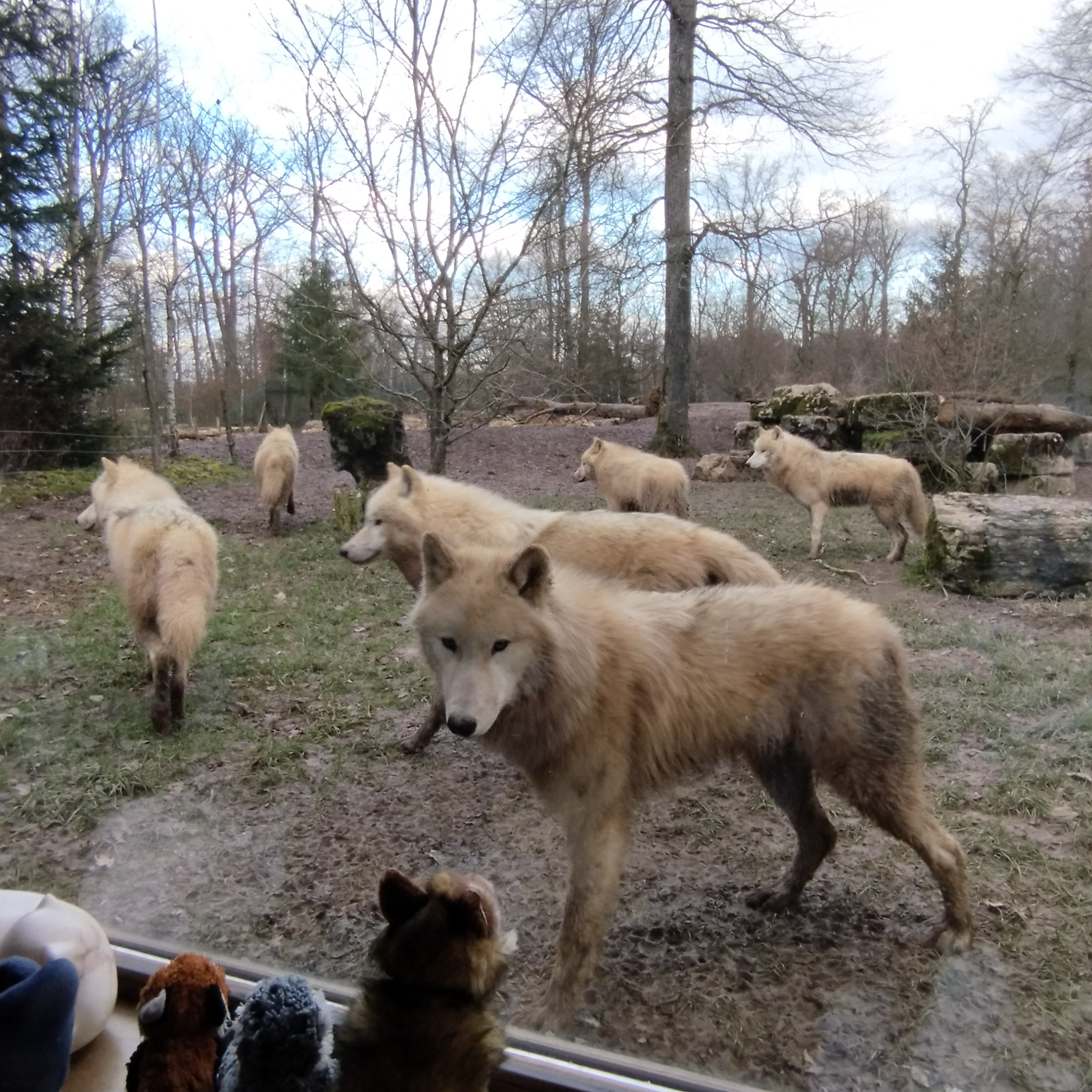 Photo n° 4 de l'avis de Angélique.a fait le 08/02/2023 à 14:01