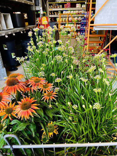 Home Improvement Store «The Home Depot», reviews and photos, 3355 Cobb Pkwy N, Acworth, GA 30101, USA